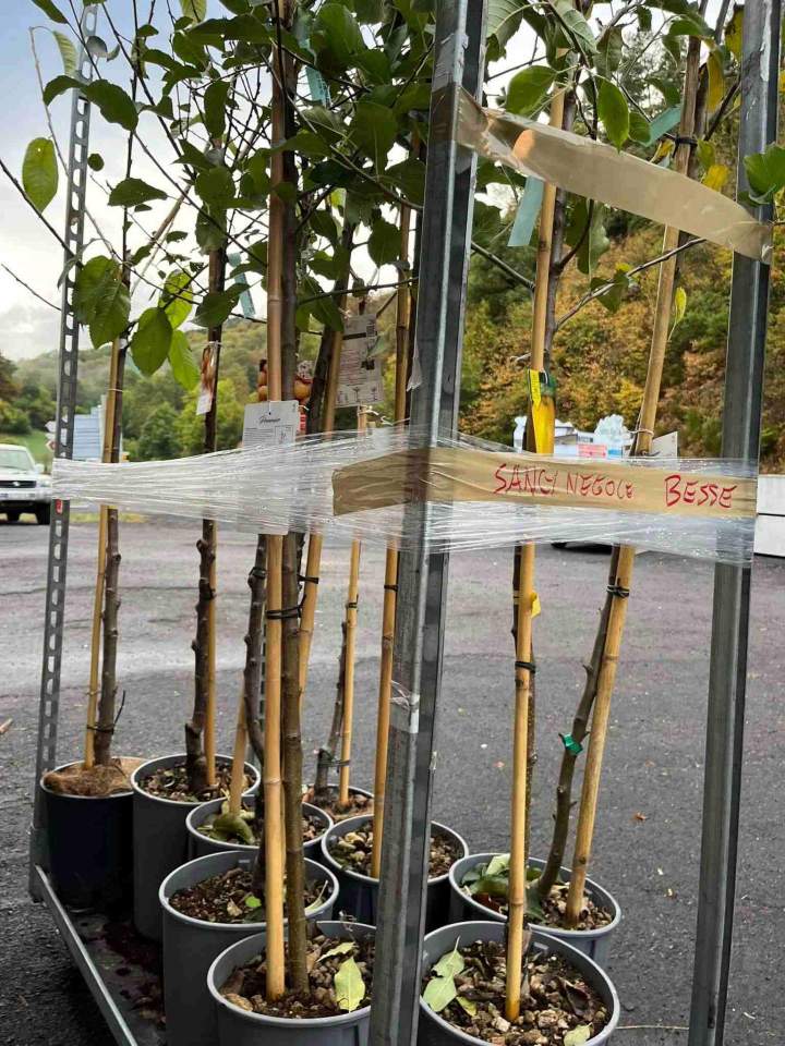 Négoce de plantes et accessoires de jardin Puy-de-Dôme