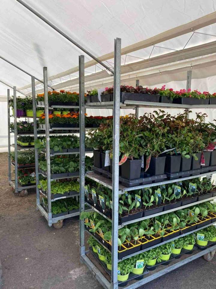 Vente de pots et terreaux Puy-de-Dôme