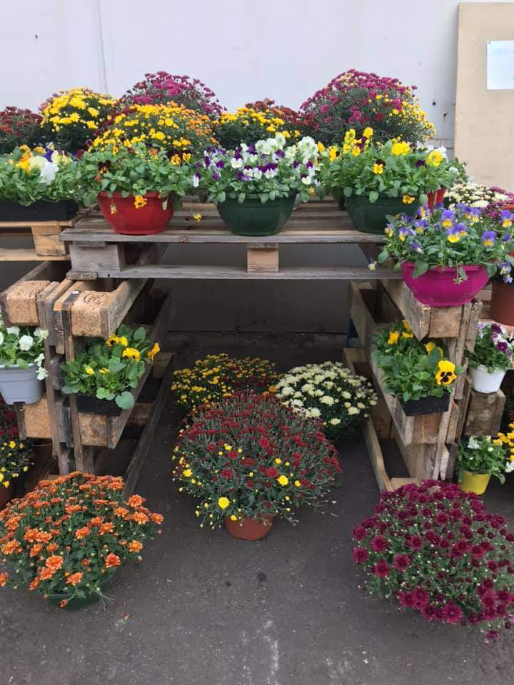 Négoce de produits de jardinage